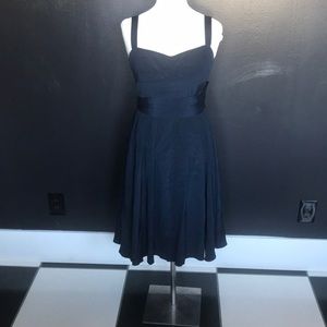 JCrew 100%Silk Navy Fit and Flare Dress